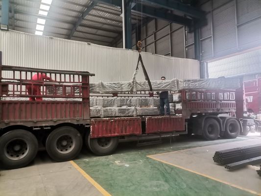 Valve insérée sous la surface de Rod Pump Double de surgeon pour la production de pétrole