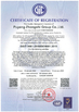 Chine Puyang Zhongshi Group Co., Ltd. certifications