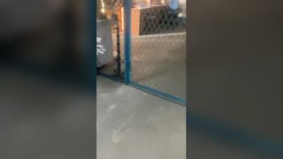 piston de pièce de rechange de la pompe à tige de pompage